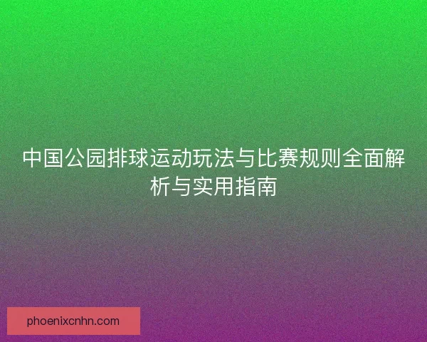 中国公园排球运动玩法与比赛规则全面解析与实用指南