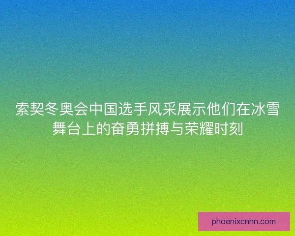 索契冬奥会中国选手风采展示他们在冰雪舞台上的奋勇拼搏与荣耀时刻